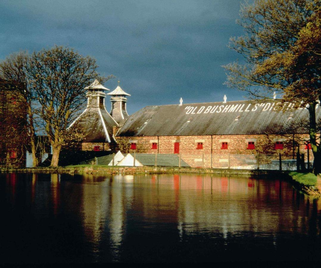 Braeside B&B Bushmills Exterior photo